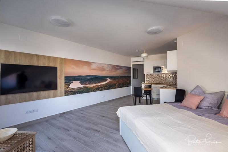 Stafetahaz Apartmanok Vác Buitenkant foto